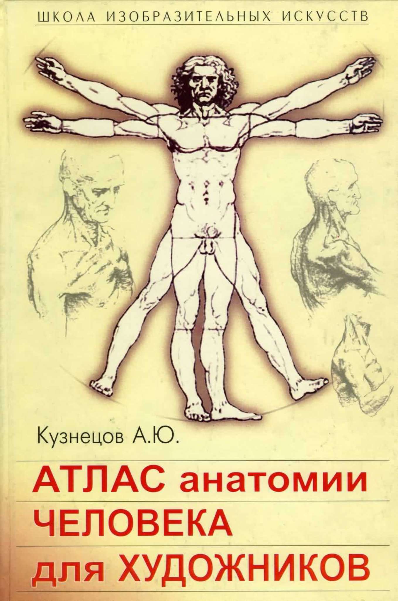 Кузнецов пластическая анатомия человека для художников