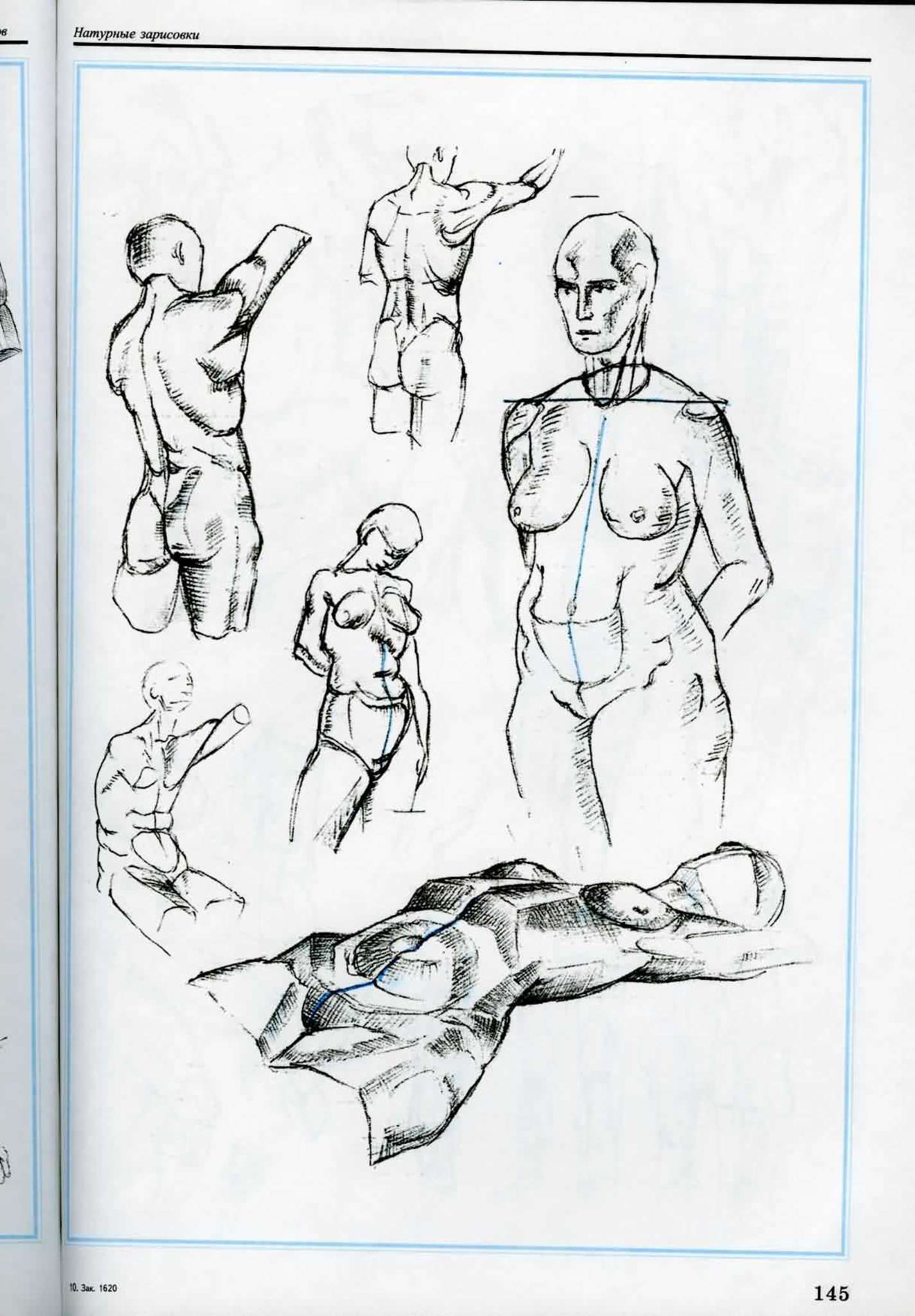 Атлас анатомии человека для художников