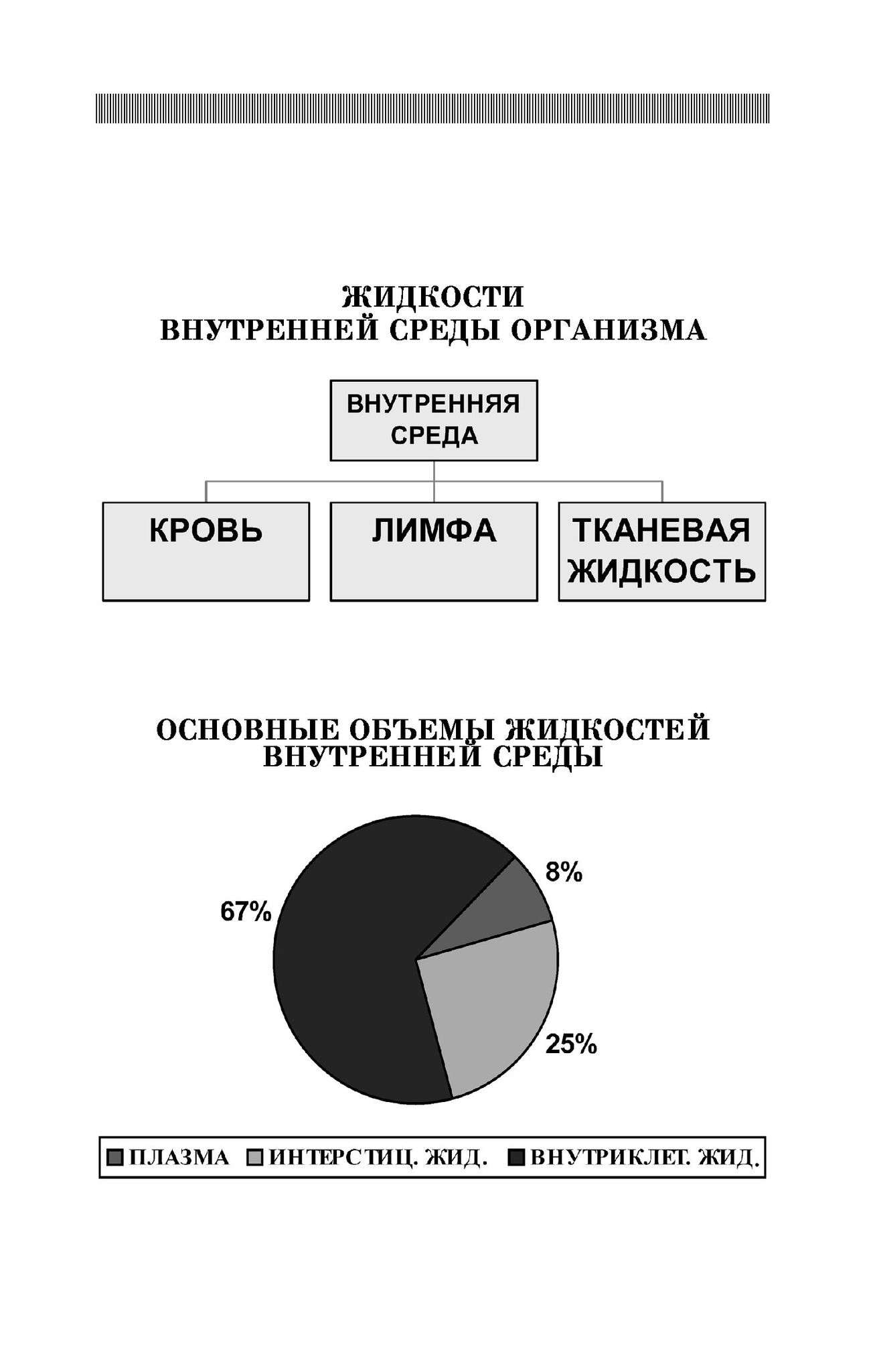 Брин в б физиология человека в схемах и таблицах